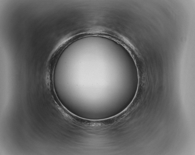 X0000116021456200911271106