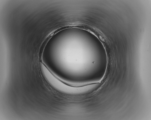 X0000116021457200911271106