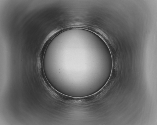 X0000116021458200911271106