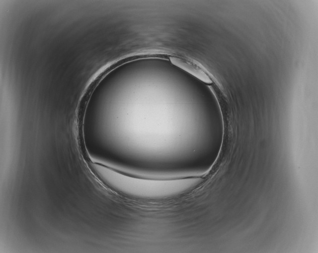 X0000116021460200911271106