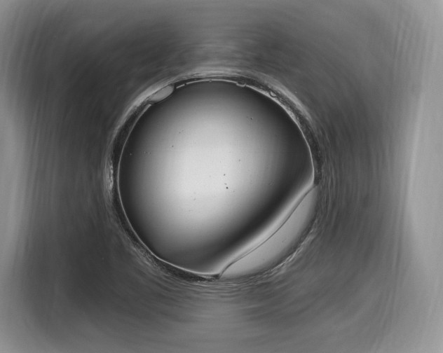 X0000116021461200911271106