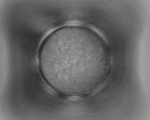 X0000116021462200911271106