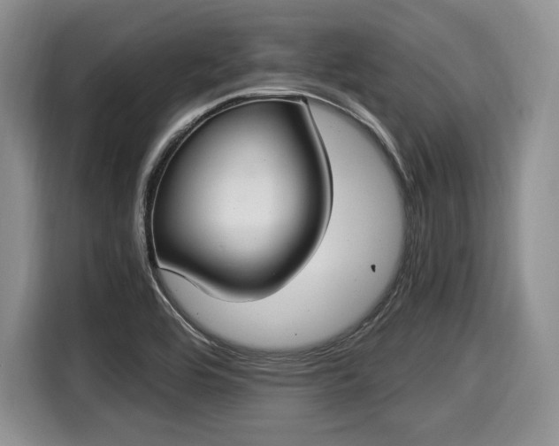 X0000116021464200911271106