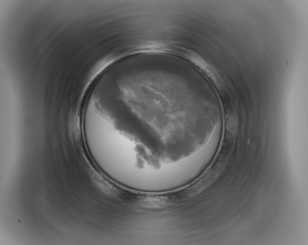 X0000116021466200911271106