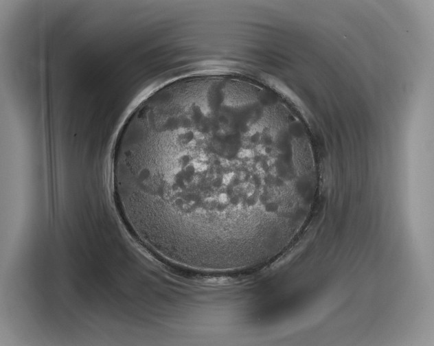 X0000116021467200911271106