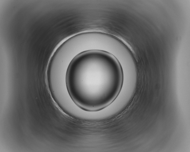 X0000116021468200911271106