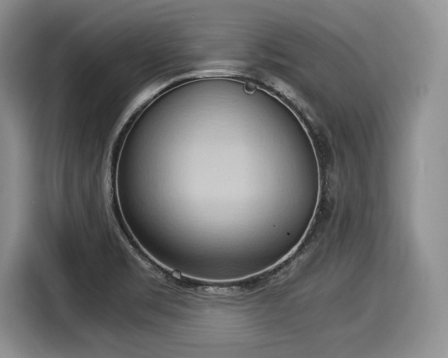 X0000116021469200911271106