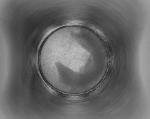 X0000116021470200911271106