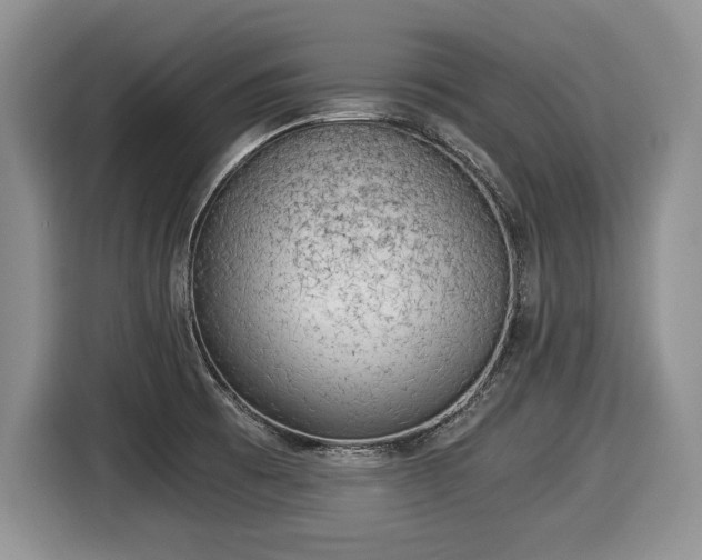 X0000116021473200911271106