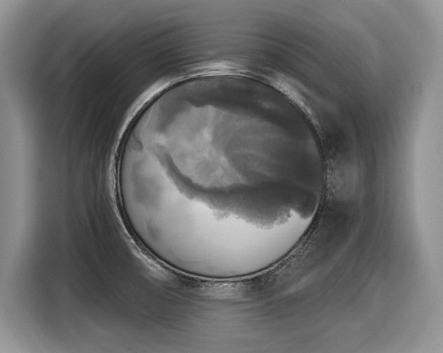 X0000116021474200911271106