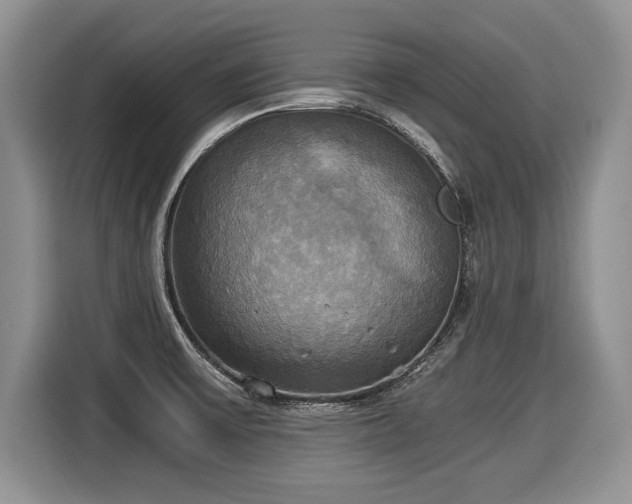 X0000116021475200911271106