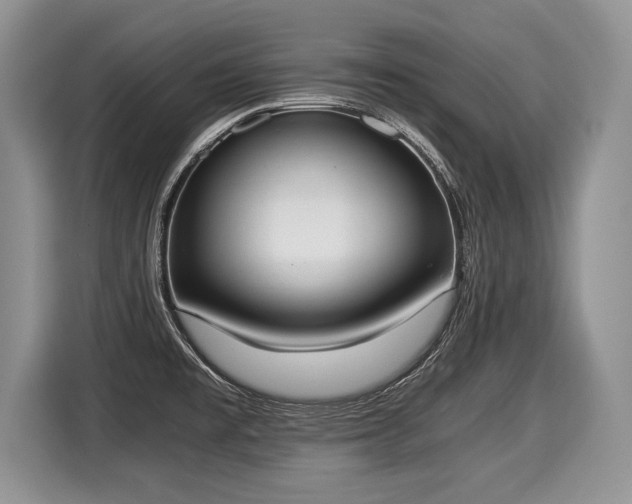 X0000116021477200911271106