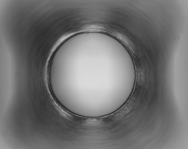 X0000116021478200911271106