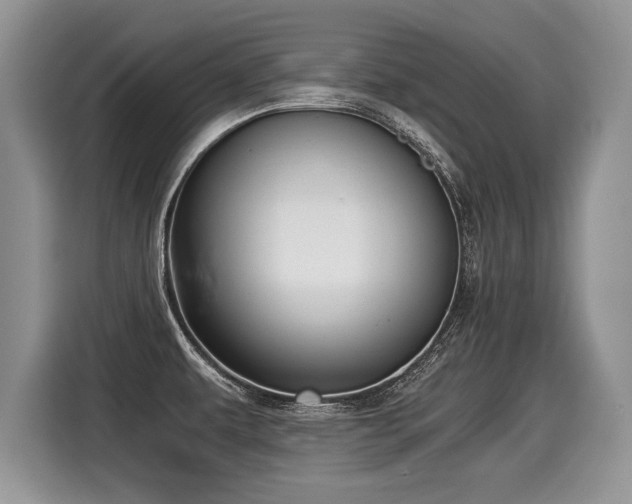 X0000116021479200911271106