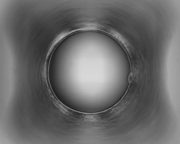 X0000116021480200911271106