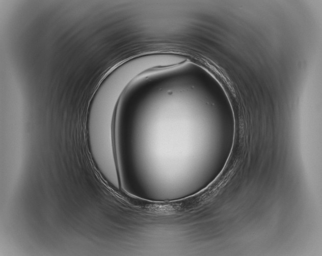 X0000116021481200911271106