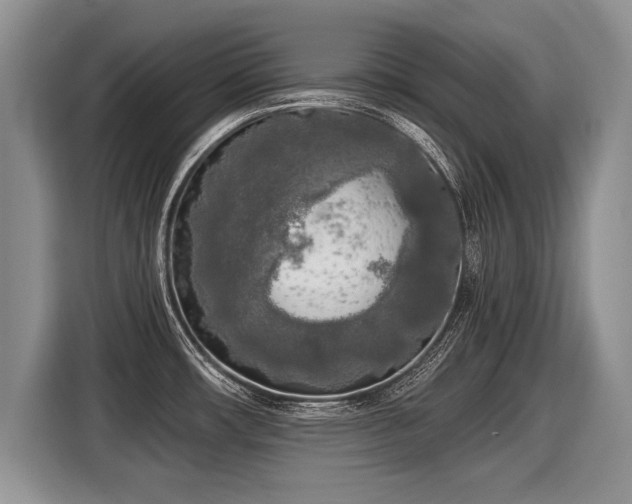 X0000116021482200911271106