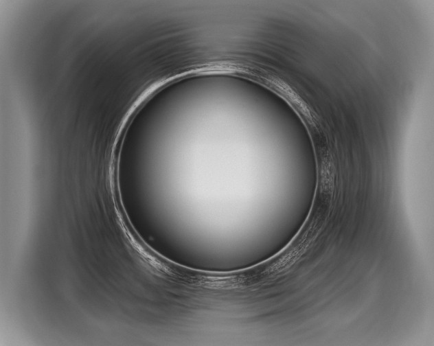 X0000116021484200911271106