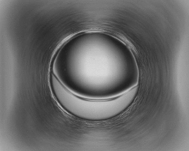 X0000116021485200911271106