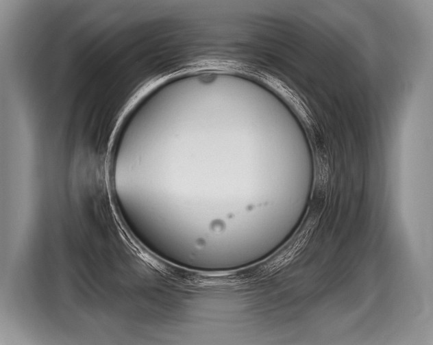 X0000116021486200911271106