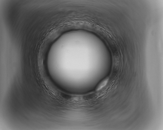 X0000116021489200911271105