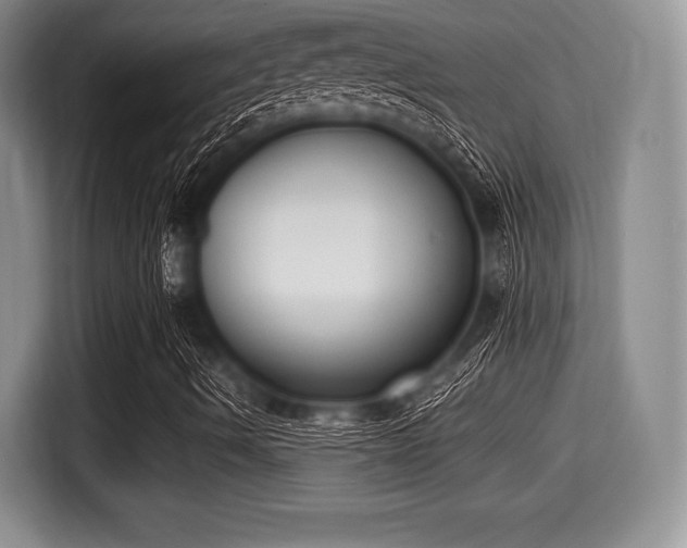 X0000116021490200911271105