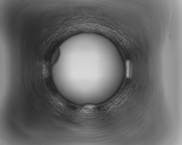 X0000116021491200911271105