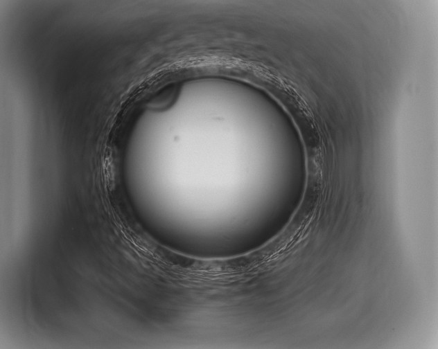 X0000116021493200911271105