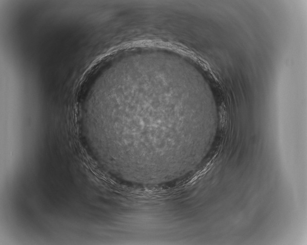 X0000116021494200911271105