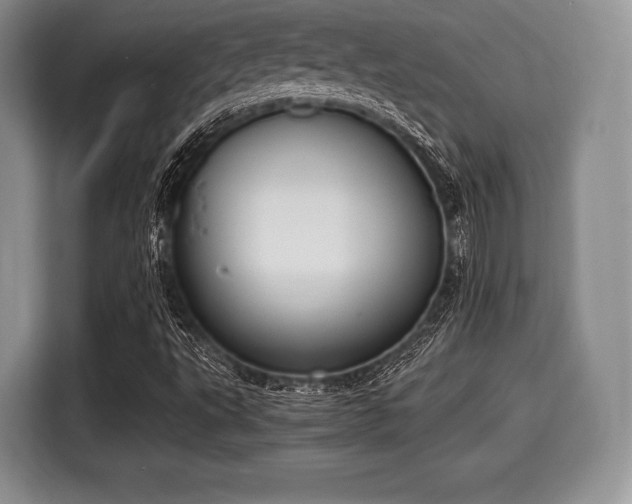 X0000116021495200911271105