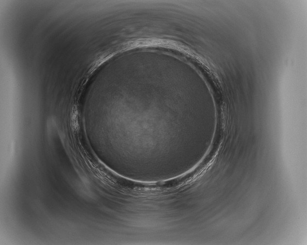 X0000116021497200911271105