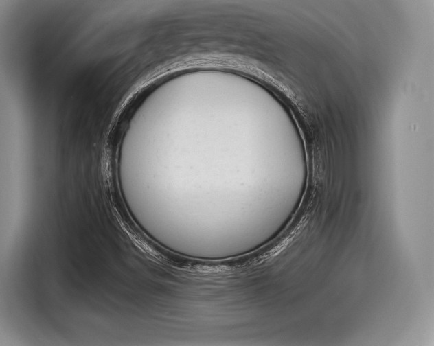 X0000116021498200911271105