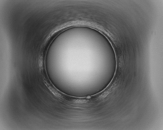 X0000116021499200911271105