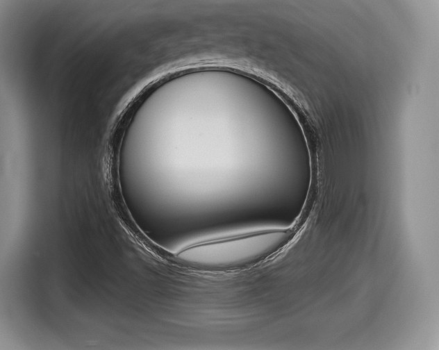 X0000116021502200911271105