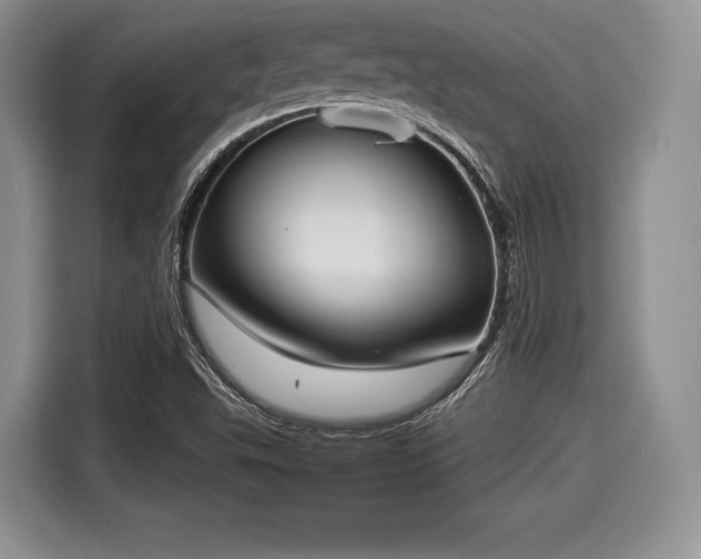 X0000116021503200911271105