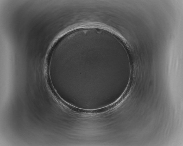 X0000116021506200911271105