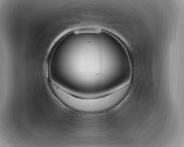 X0000116021510200911271105