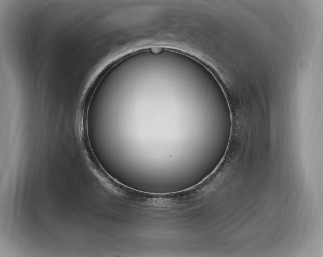 X0000116021511200911271105