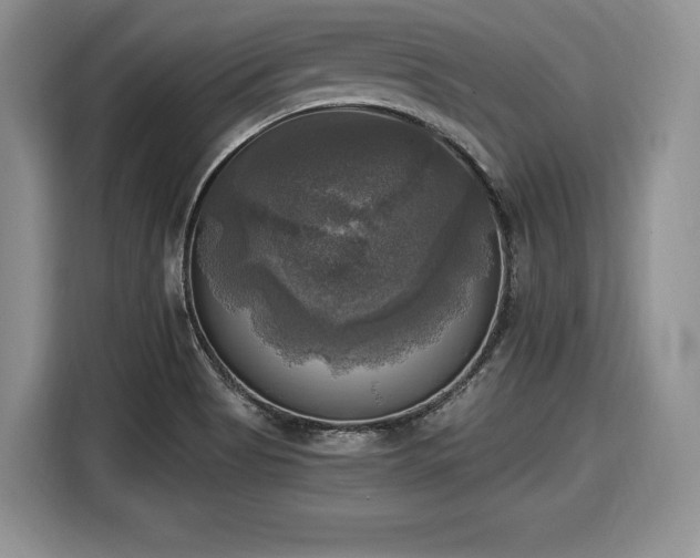 X0000116021513200911271105