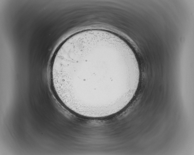 X0000116021514200911271105