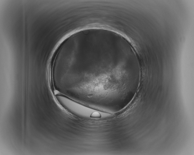 X0000116021515200911271106