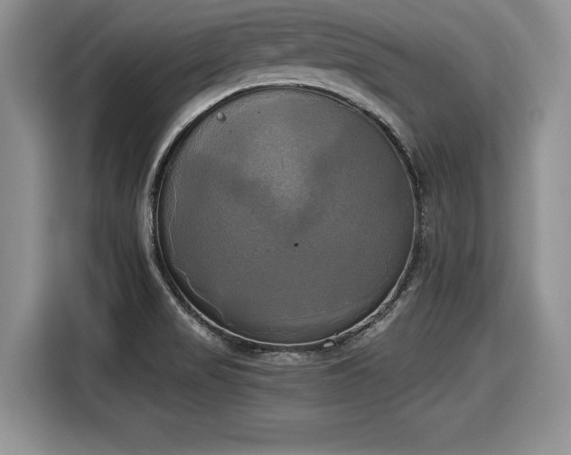 X0000116021517200911271106