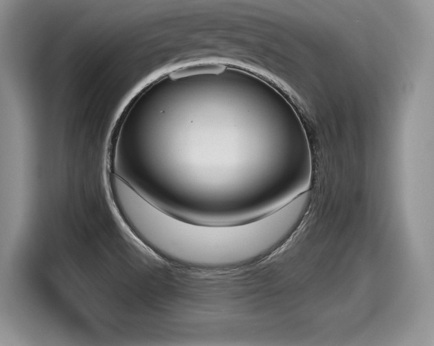 X0000116021518200911271106