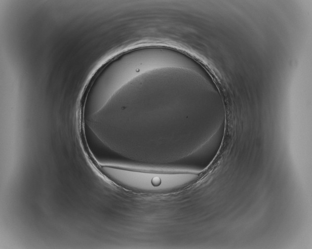 X0000116021519200911271106