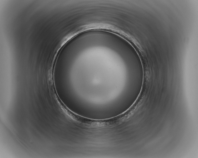 X0000116021521200911271106