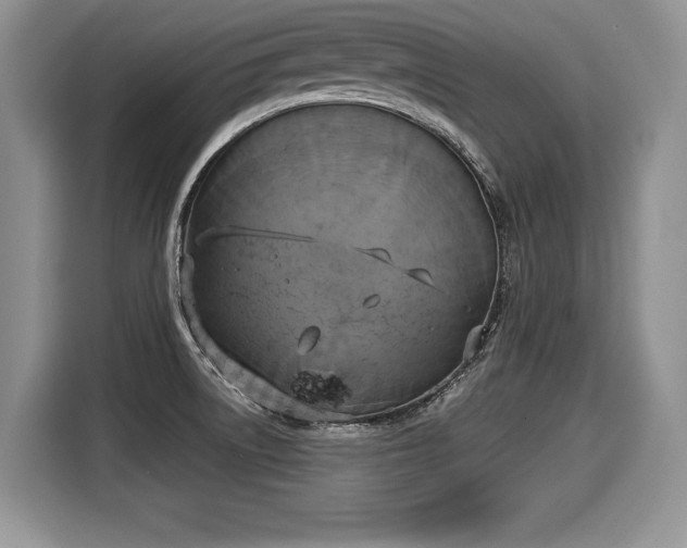 X0000116021522200911271106