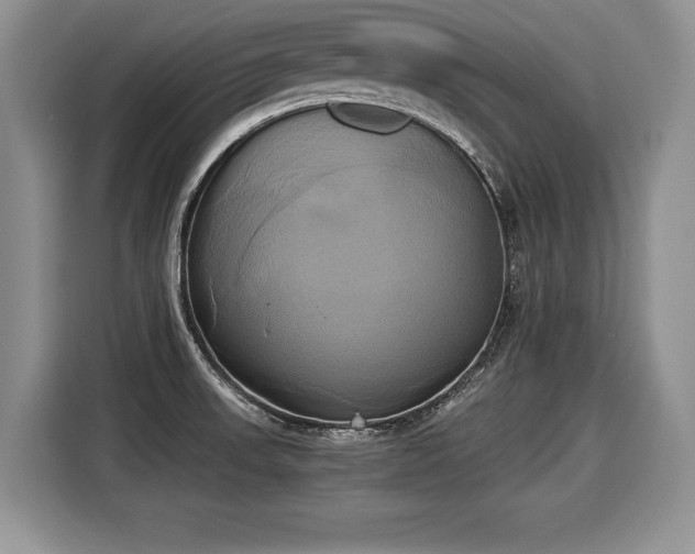 X0000116021523200911271106