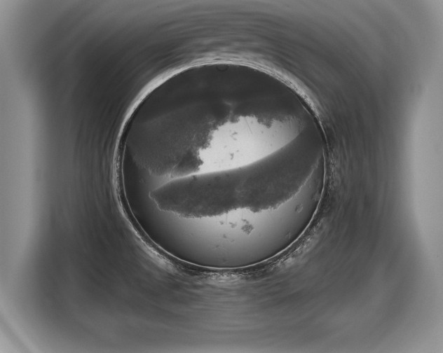 X0000116021525200911271106