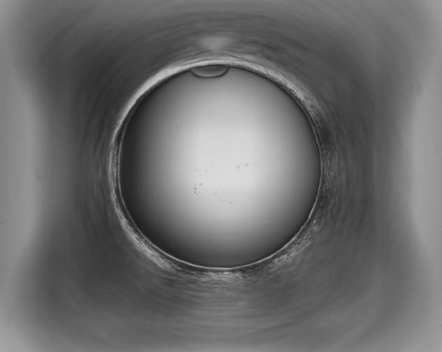 X0000116021526200911271106