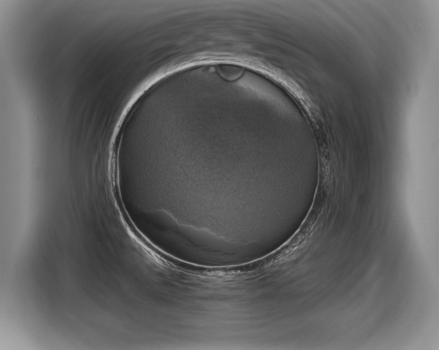 X0000116021527200911271106